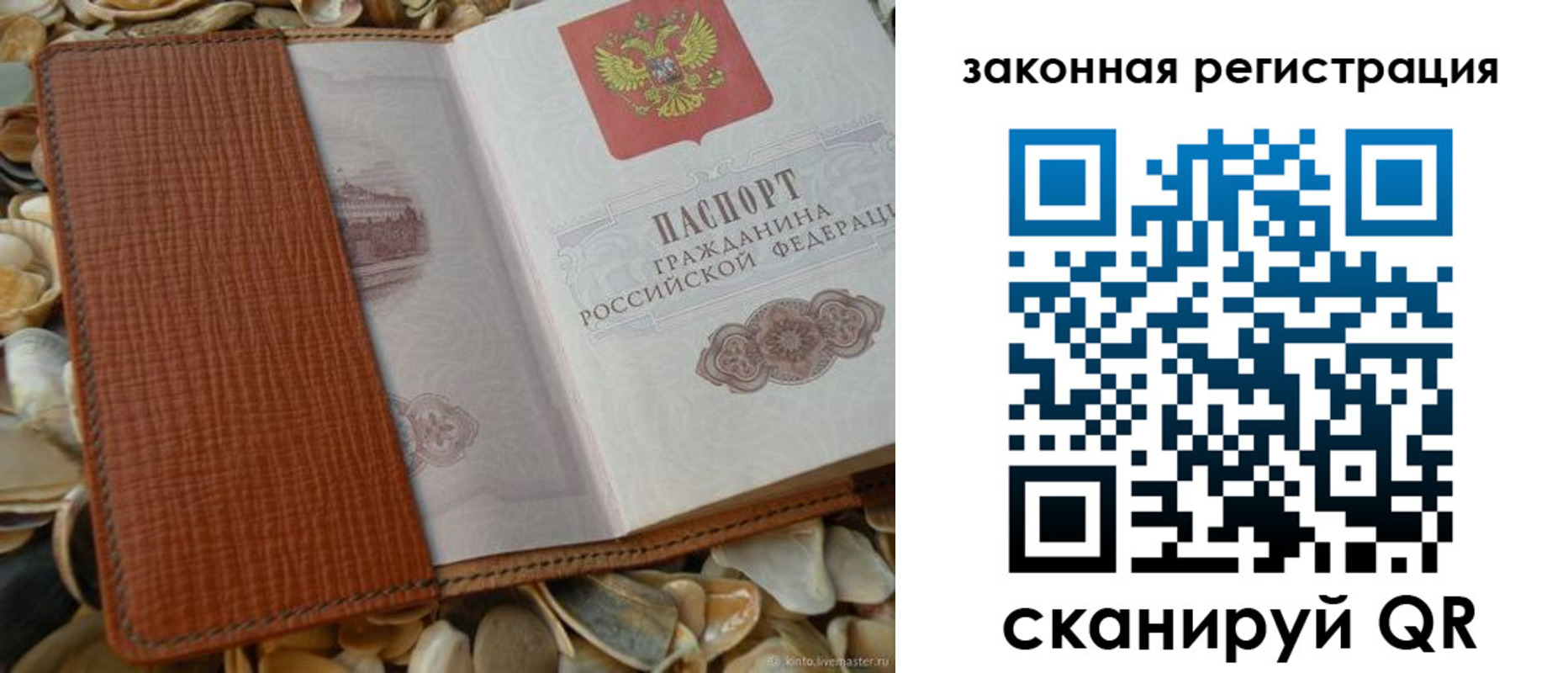 прописка паспорт в Александрове